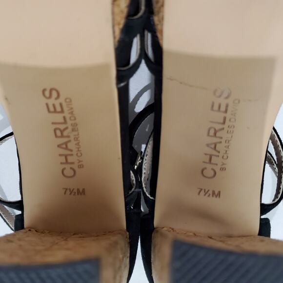 Charles David | Strappy Platform Leather Chunky Heels - Picture 7 of 13